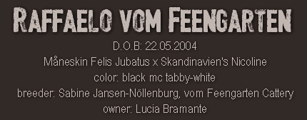 Raffaelo vom Feengarten