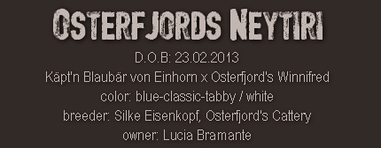 Osterfjord's Neytiri